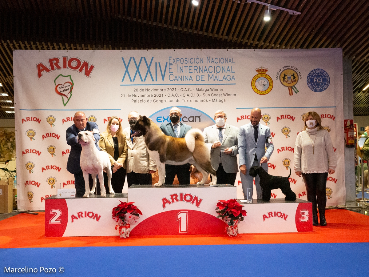 CAC TORREMOLINOS 2021 KYODAI