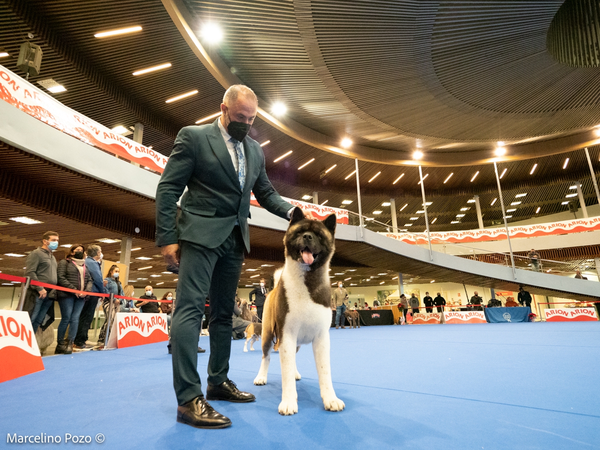 CAC TORREMOLINOS 2021 KYODAI