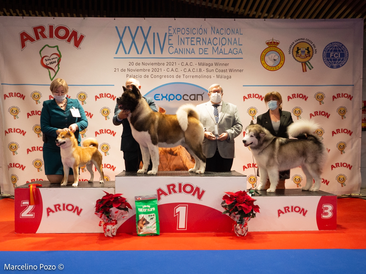 CAC TORREMOLINOS 2021 KYODAI