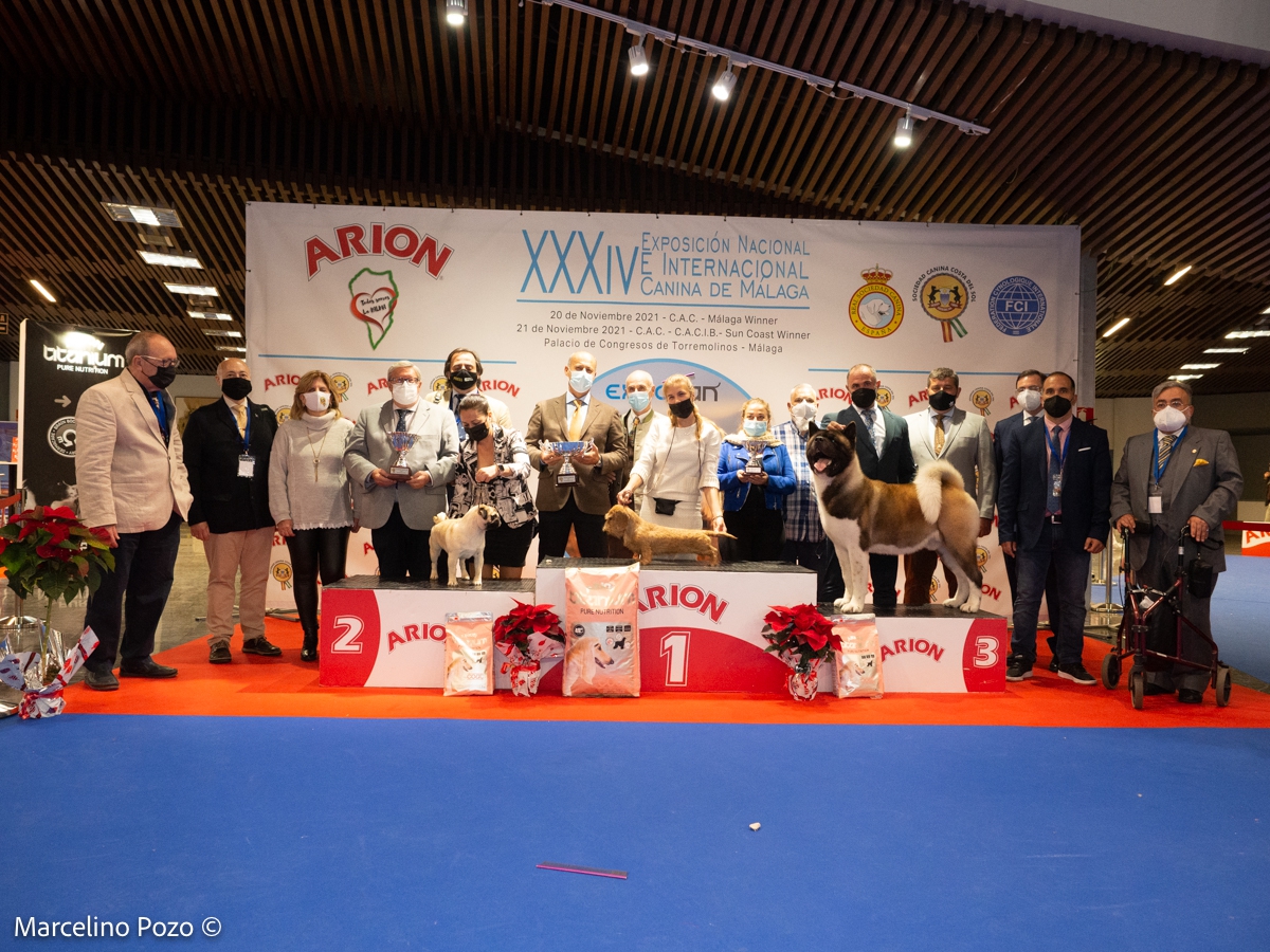 CAC TORREMOLINOS 2021 KYODAI
