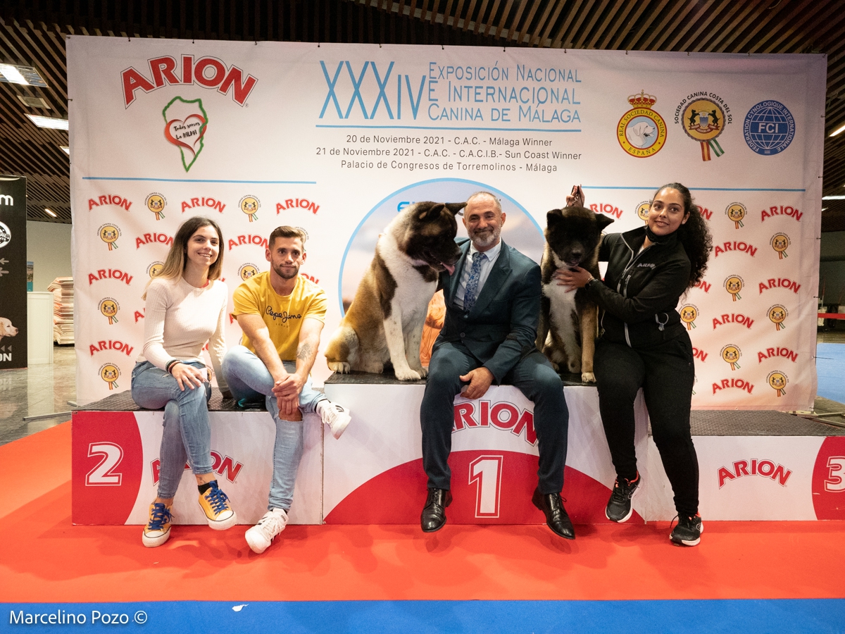 CACIB TORREMOLINOS 2021 KYODAI