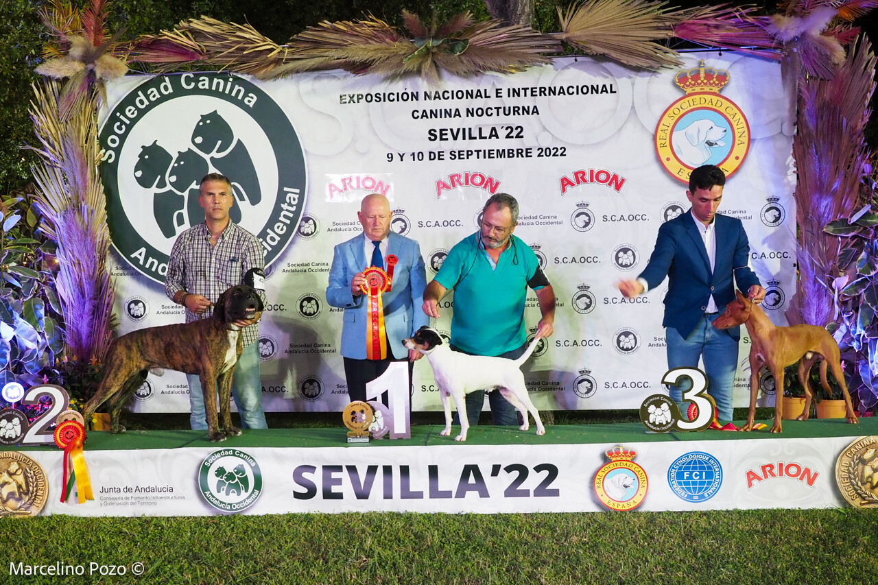 JUAN CARLOS ROCA
