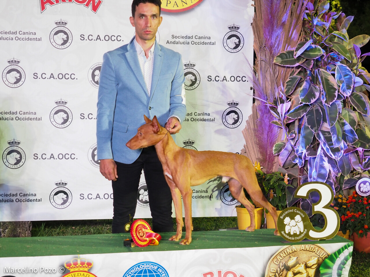 JUAN CARLOS ROCA